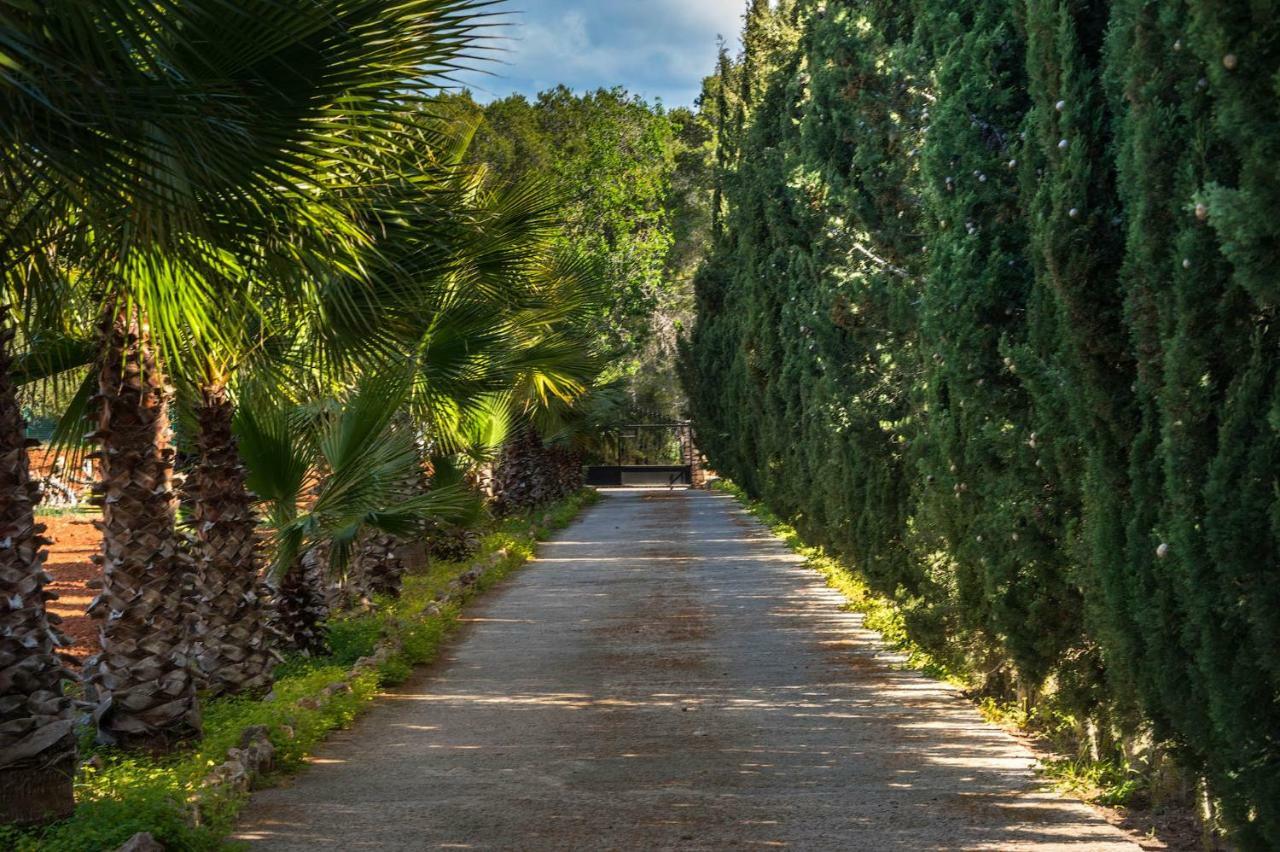 Villa Can Fita Puig D'en Valls Buitenkant foto